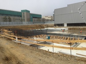 novartis siena (14)